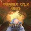 Terrible Calm - Mystic - Single